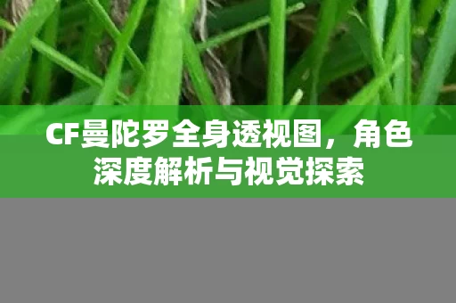 角色深度解析与视觉探索图片