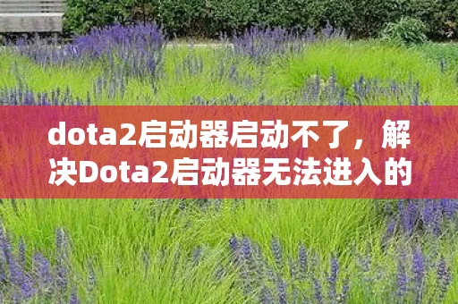 dota2启动器启动不了，解决Dota2启动器无法进入的常见问题及解决方案