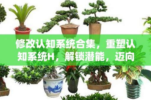 修改认知系统合集，重塑认知系统H，解锁潜能，迈向高效与卓越