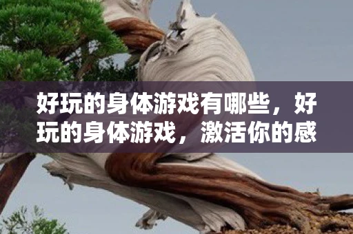 好玩的身体游戏有哪些,好玩的身体游戏,激活你的感官与运动潜能 好玩的身体游戏有哪些,好玩的身体游戏,激活你的感官与运动潜能