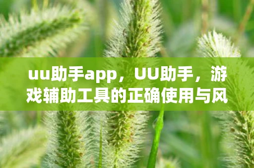 uu助手app，UU助手，游戏辅助工具的正确使用与风险规避