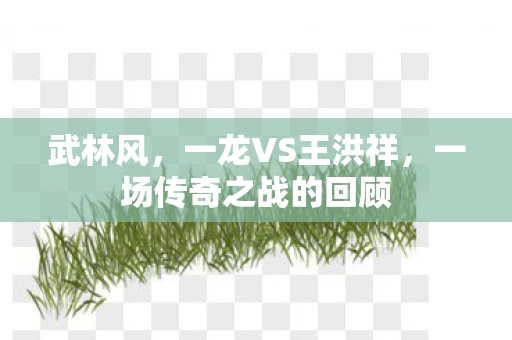 武林风，一龙VS王洪祥，一场传奇之战的回顾