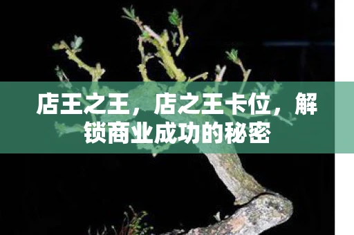 店王之王,店之王卡位,解锁商业成功的秘密 店王之王,店之王卡位,解锁商业成功的秘密