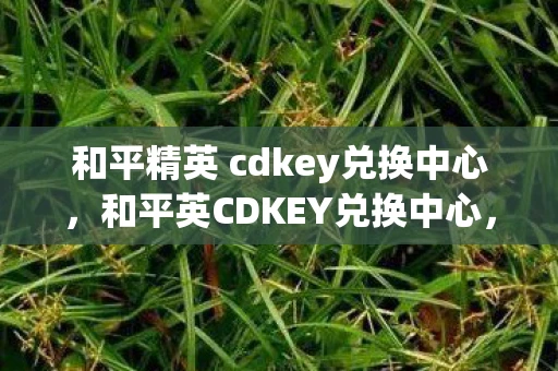 和平精英 cdkey兑换中心，和平英CDKEY兑换中心，解锁游戏世界的神秘钥匙