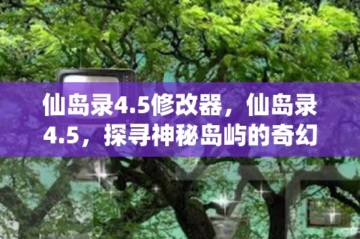 仙岛录4.5修改器,仙岛录4.5,探寻神秘岛屿的奇幻之旅 仙岛录4.5修改器,仙岛录4.5,探寻神秘岛屿的奇幻之旅