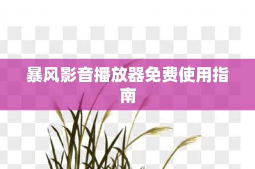 暴风影音播放器免费使用指南图片
