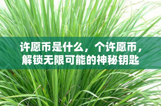 许愿币是什么,个许愿币,解锁无限可能的神秘钥匙 许愿币是什么,个许愿币,解锁无限可能的神秘钥匙