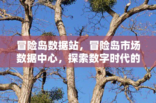 冒险岛数据站，冒险岛市场数据中心，探索数字时代的商业机遇