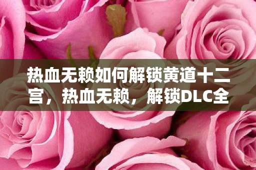 热血无赖如何解锁黄道十二宫，热血无赖，解锁DLC全攻略