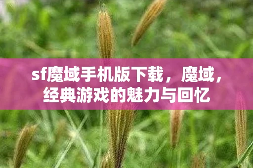 sf魔域手机版下载，魔域，经典游戏的魅力与回忆