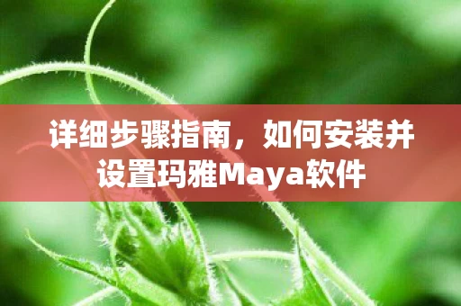 如何安装并设置玛雅Maya软件图片