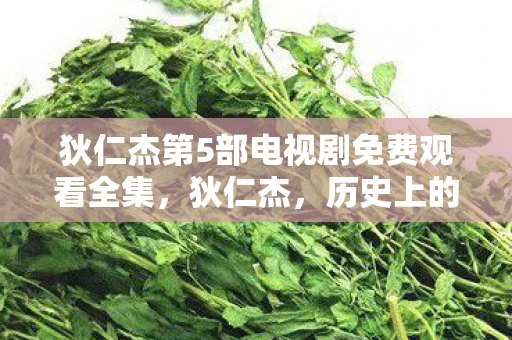 狄仁杰第5部电视剧免费观看全集，狄仁杰，历史上的传奇侦探与CDKEY无关