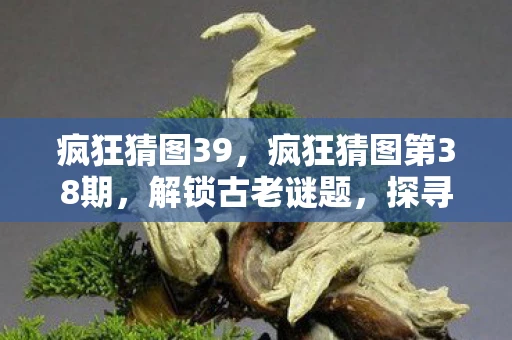 疯狂猜图39，疯狂猜图第38期，解锁古老谜题，探寻未知世界