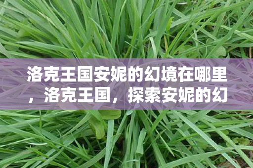 洛克王国安妮的幻境在哪里,洛克王国,探索安妮的幻境之旅 洛克王国安妮的幻境在哪里,洛克王国,探索安妮的幻境之旅