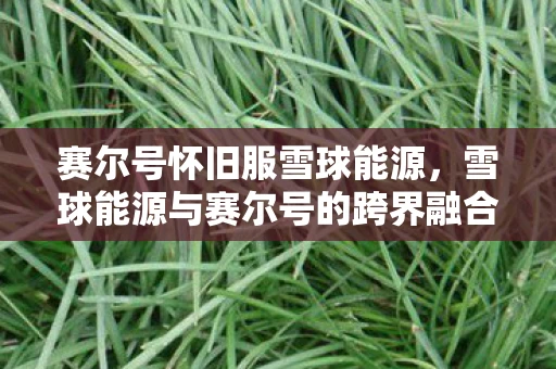 赛尔号怀旧服雪球能源，雪球能源与赛尔号的跨界融合，探索新能源时代的娱乐创新