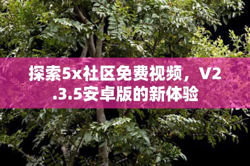 探索5x社区免费视频图片
