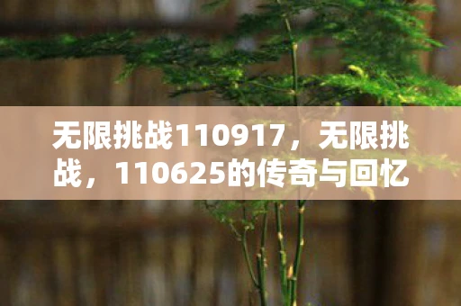 无限挑战110917，无限挑战，110625的传奇与回忆