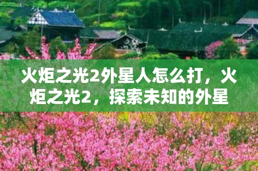 火炬之光2外星人怎么打，火炬之光2，探索未知的外星世界