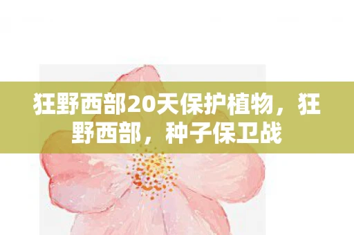 狂野西部20天保护植物，狂野西部，种子保卫战