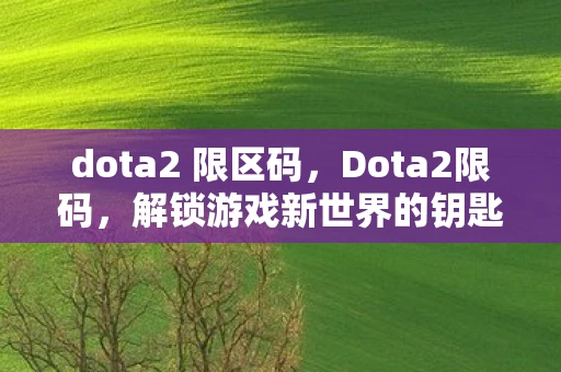 dota2 限区码,Dota2限码,解锁游戏新世界的钥匙 dota2 限区码,Dota2限码,解锁游戏新世界的钥匙
