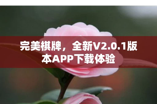 1版本APP下载体验图片