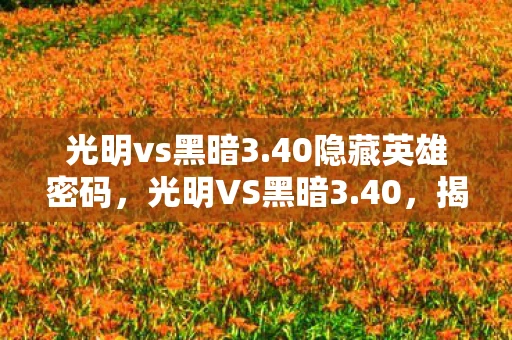 光明vs黑暗3.40隐藏英雄密码，光明VS黑暗3.40，揭秘隐藏英雄