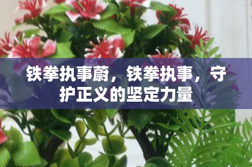 铁拳执事蔚，铁拳执事，守护正义的坚定力量