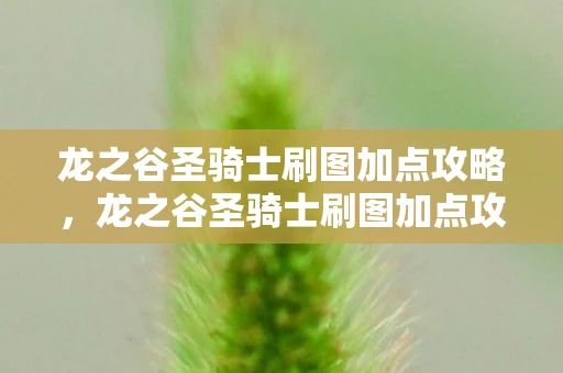 龙之谷圣骑士刷图加点攻略，龙之谷圣骑士刷图加点攻略