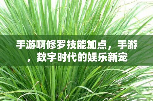 手游啊修罗技能加点，手游，数字时代的娱乐新宠