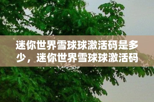 迷你世界雪球球激活码是多少，迷你世界雪球球激活码获取全攻略