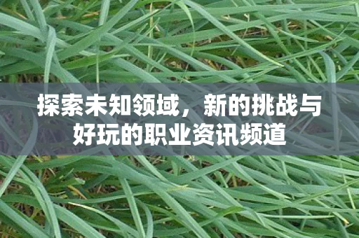 新的挑战与好玩的职业资讯频道图片