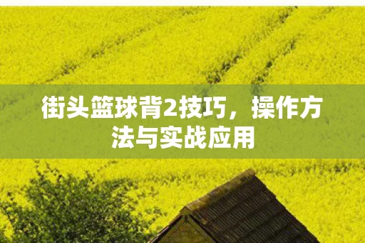 操作方法与实战应用图片