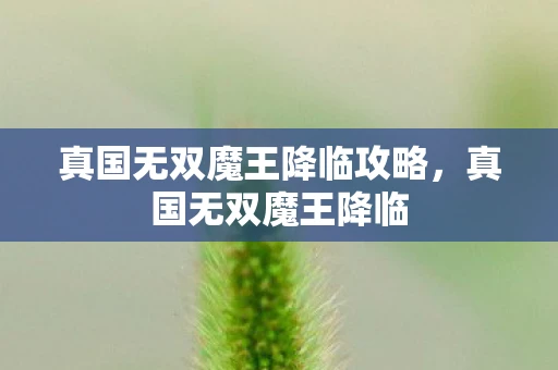 真国无双魔王降临攻略，真国无双魔王降临