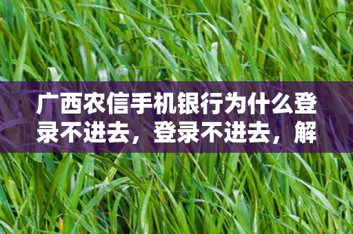 广西农信手机银行为什么登录不进去，登录不进去，解锁账户问题的全面指南