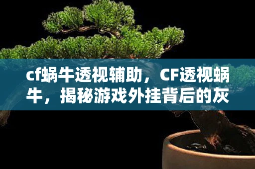 cf蜗牛透视辅助，CF透视蜗牛，揭秘游戏外挂背后的灰色产业链
