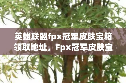 英雄联盟fpx冠军皮肤宝箱领取地址，Fpx冠军皮肤宝箱，解锁电竞荣耀的钥匙