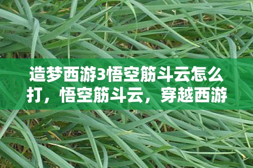 造梦西游3悟空筋斗云怎么打，悟空筋斗云，穿越西游的梦幻之旅
