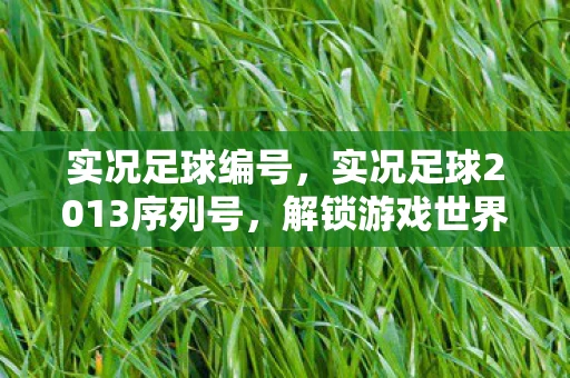 实况足球编号，实况足球2013序列号，解锁游戏世界的钥匙