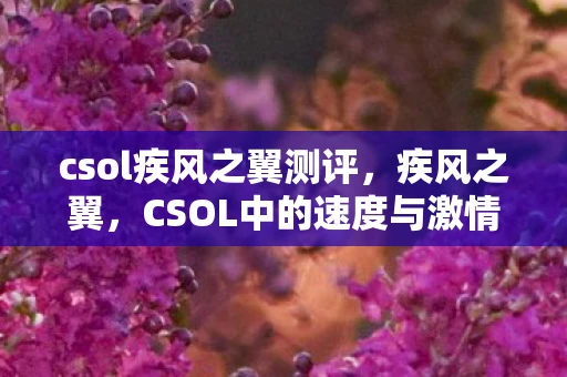 csol疾风之翼测评，疾风之翼，CSOL中的速度与激情