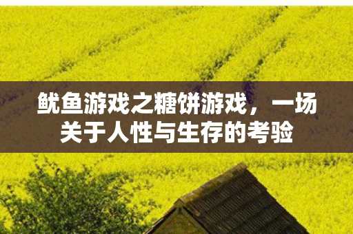鱿鱼游戏之糖饼游戏，一场关于人性与生存的考验