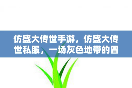仿盛大传世手游，仿盛大传世私服，一场灰色地带的冒险