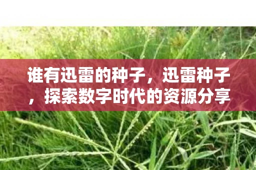 谁有迅雷的种子，迅雷种子，探索数字时代的资源分享与版权挑战
