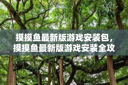 摸摸鱼最新版游戏安装包，摸摸鱼最新版游戏安装全攻略