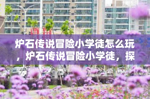 炉石传说冒险小学徒怎么玩，炉石传说冒险小学徒，探索卡牌世界的奇妙旅程