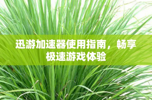 迅游加速器使用指南图片