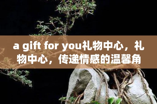 a gift for you礼物中心，礼物中心，传递情感的温馨角落