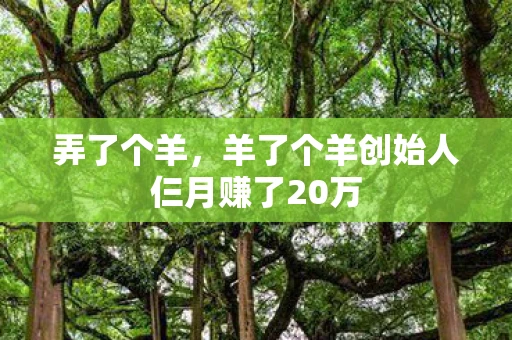 弄了个羊，羊了个羊创始人仨月赚了20万