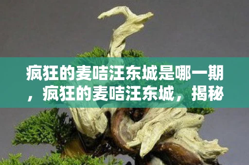 疯狂的麦咭汪东城是哪一期，疯狂的麦咭汪东城，揭秘明星与儿童节目的不解之缘