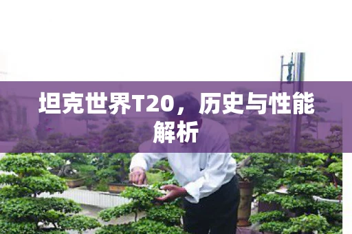 坦克世界T20，历史与性能解析