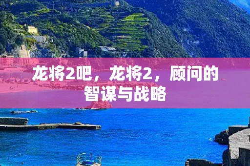龙将2吧，龙将2，顾问的智谋与战略